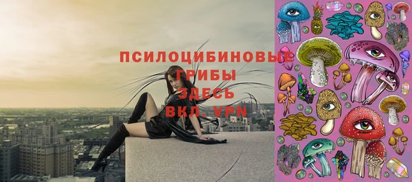 spice Кинешма