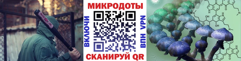 Псилоцибиновые грибы Cubensis  Ессентуки 